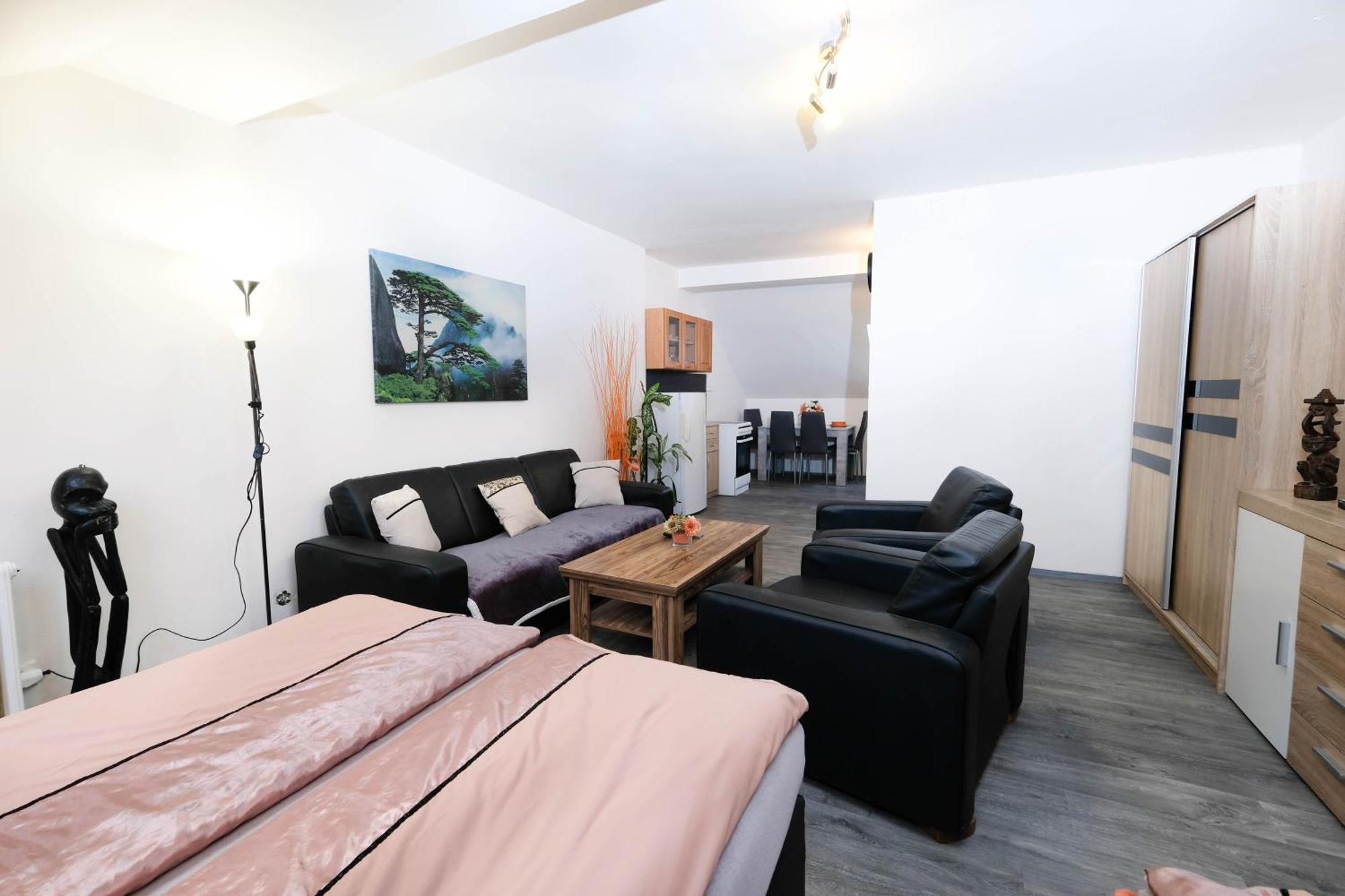 Apartments Alena - カルロヴィ・ヴァリ エクステリア 写真