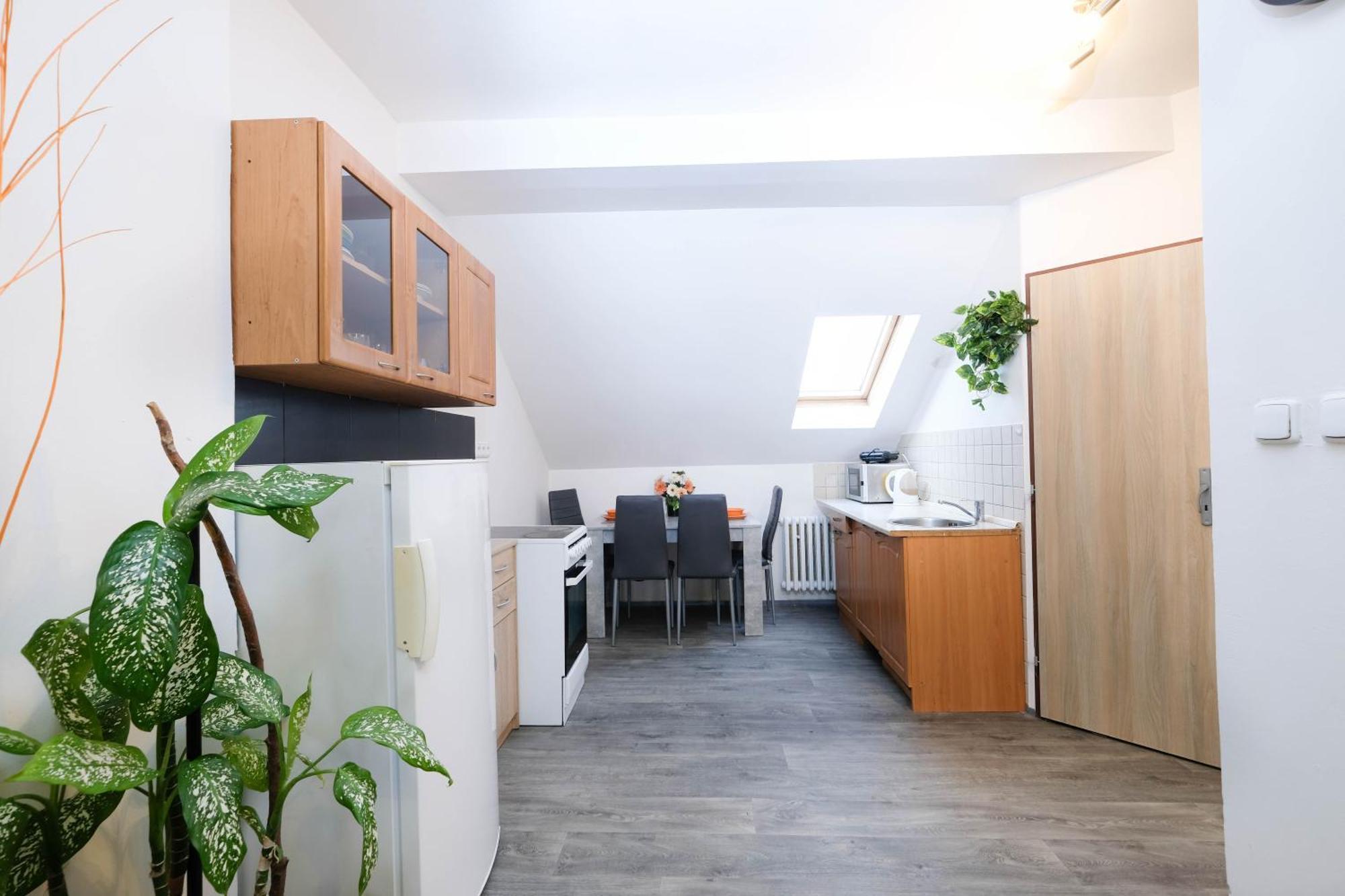 Apartments Alena - カルロヴィ・ヴァリ エクステリア 写真