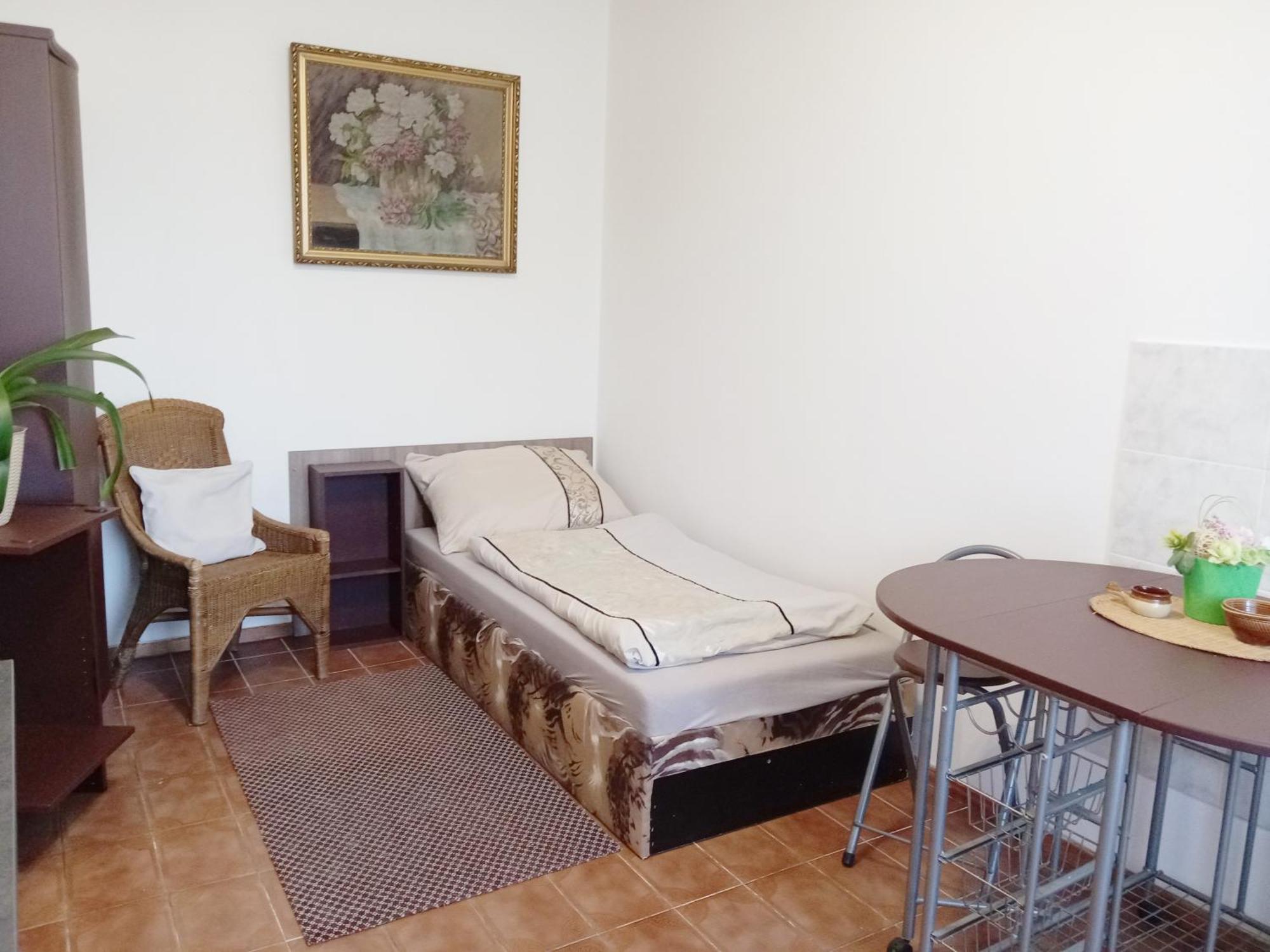 Apartments Alena - カルロヴィ・ヴァリ 部屋 写真