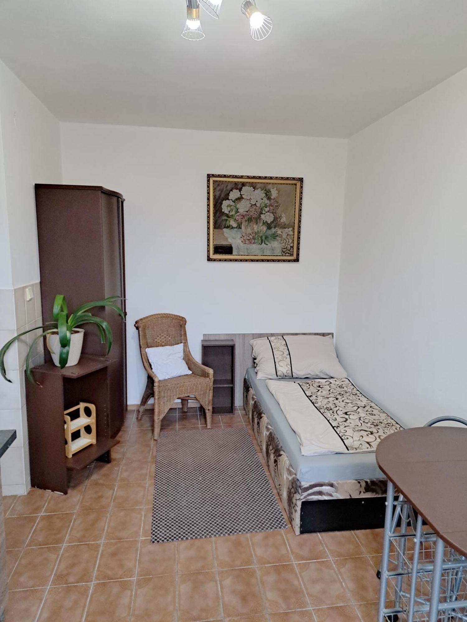 Apartments Alena - カルロヴィ・ヴァリ エクステリア 写真