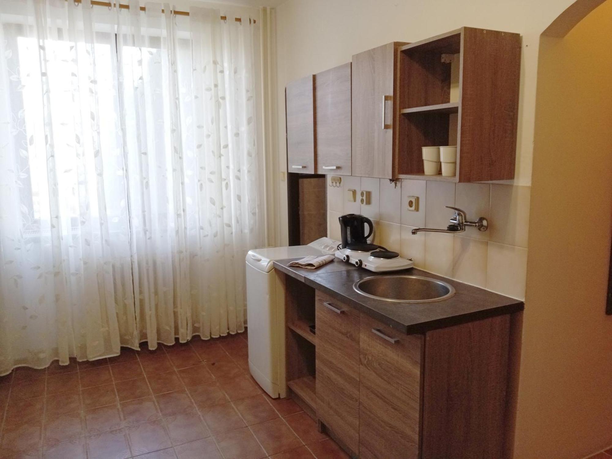 Apartments Alena - カルロヴィ・ヴァリ 部屋 写真