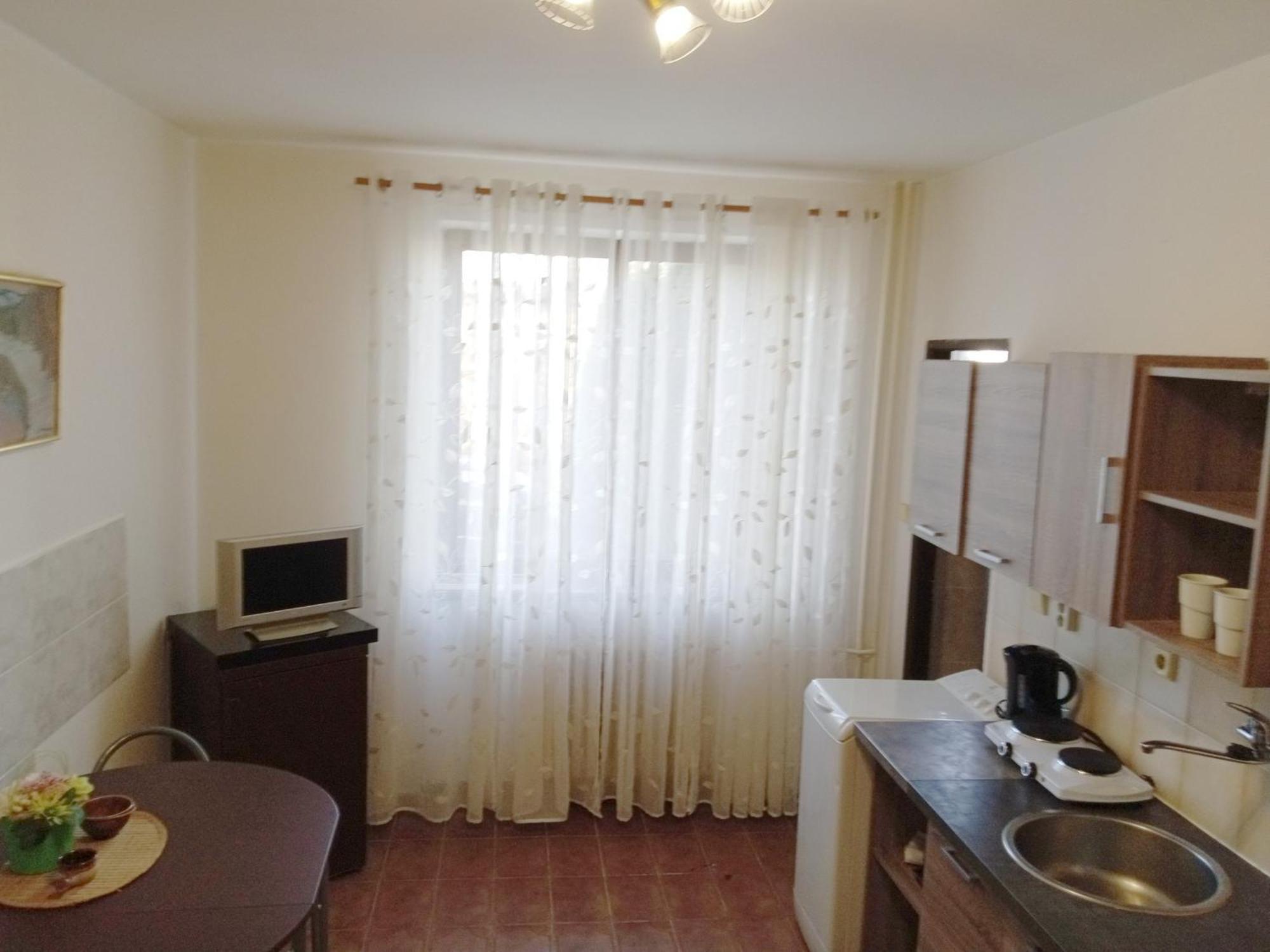 Apartments Alena - カルロヴィ・ヴァリ 部屋 写真