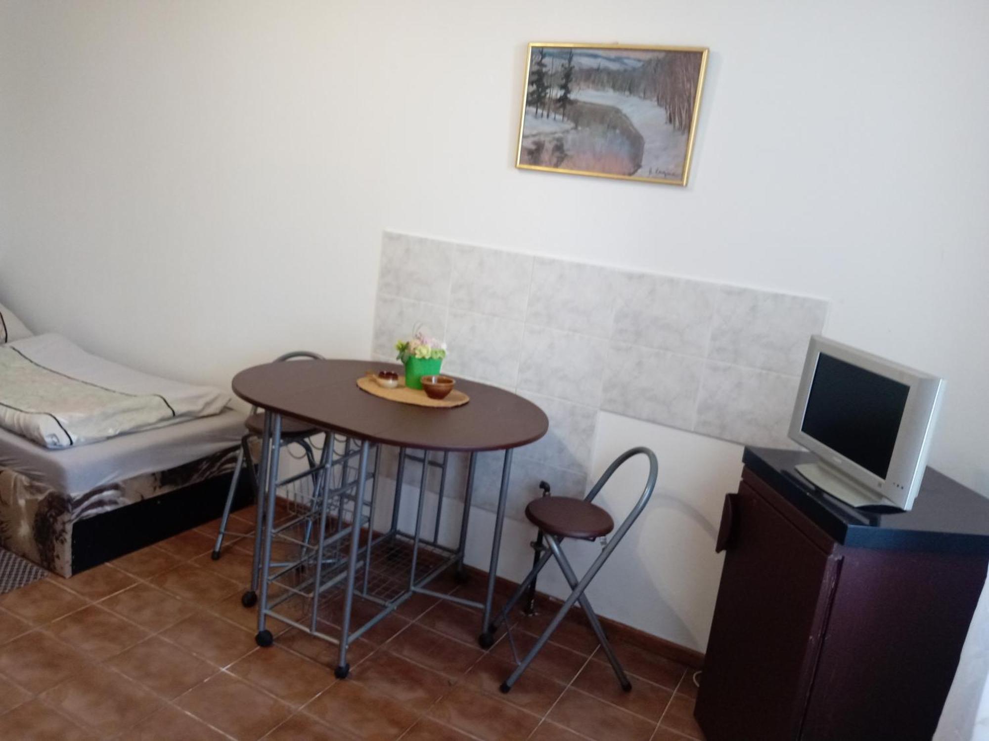 Apartments Alena - カルロヴィ・ヴァリ 部屋 写真