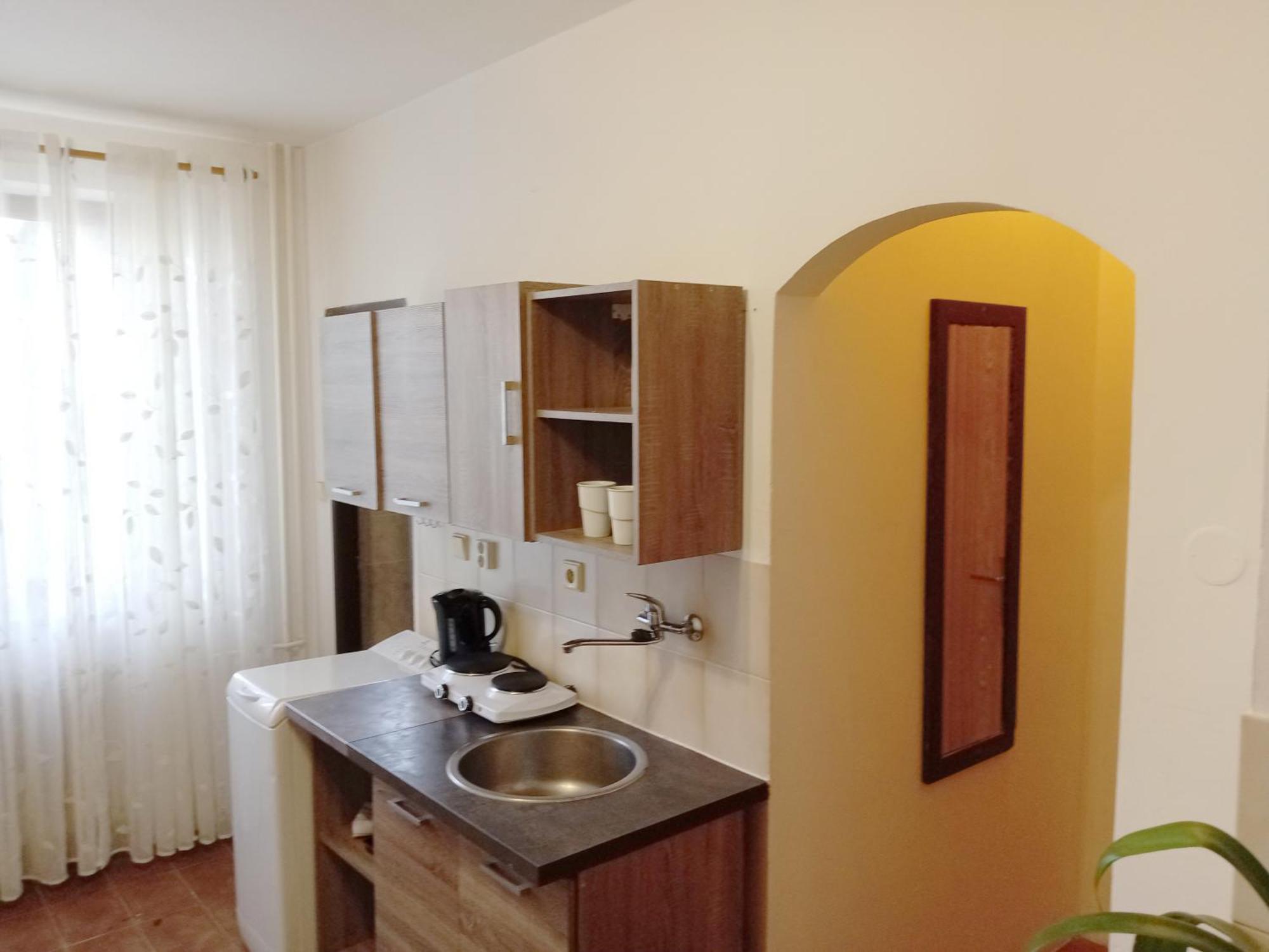 Apartments Alena - カルロヴィ・ヴァリ 部屋 写真