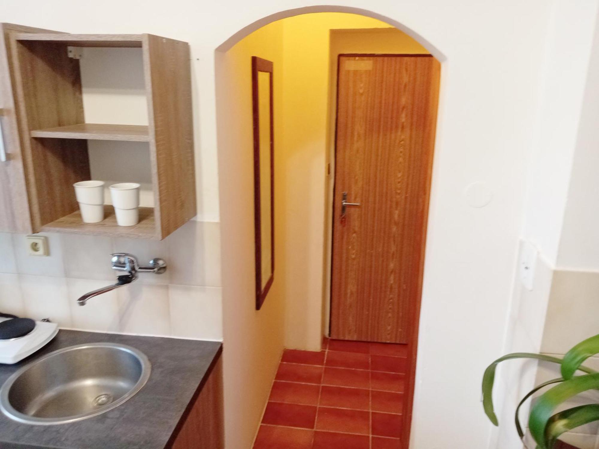 Apartments Alena - カルロヴィ・ヴァリ 部屋 写真