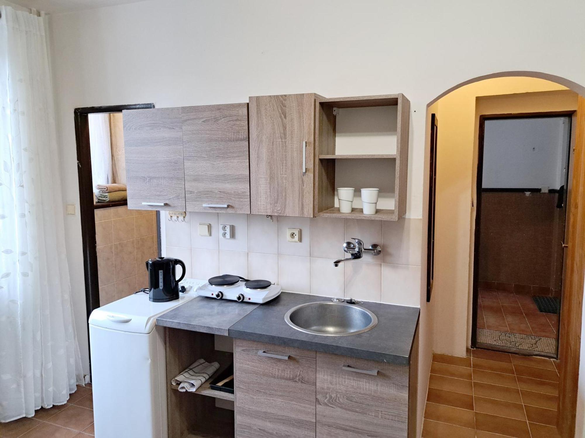 Apartments Alena - カルロヴィ・ヴァリ 部屋 写真