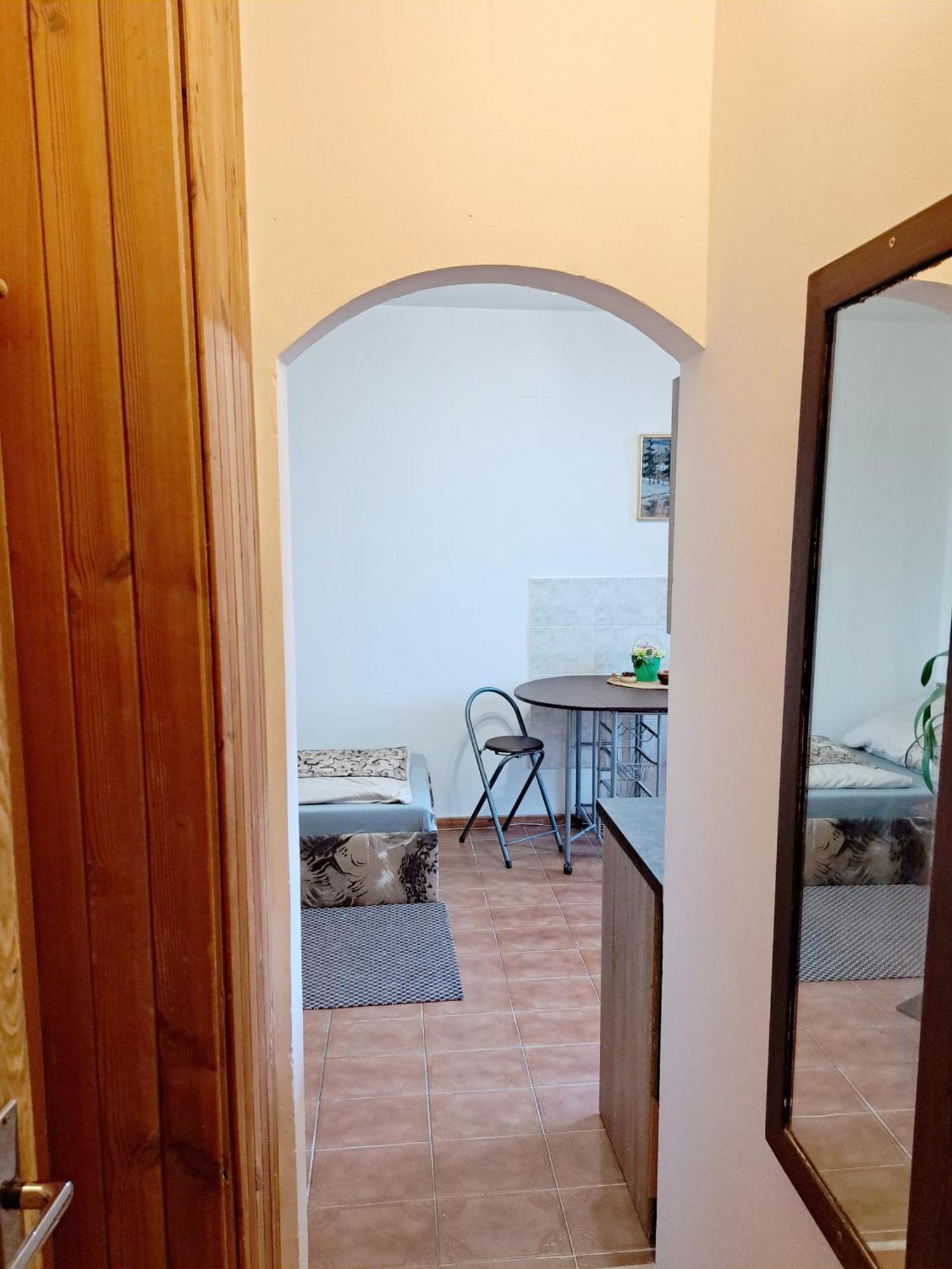 Apartments Alena - カルロヴィ・ヴァリ 部屋 写真